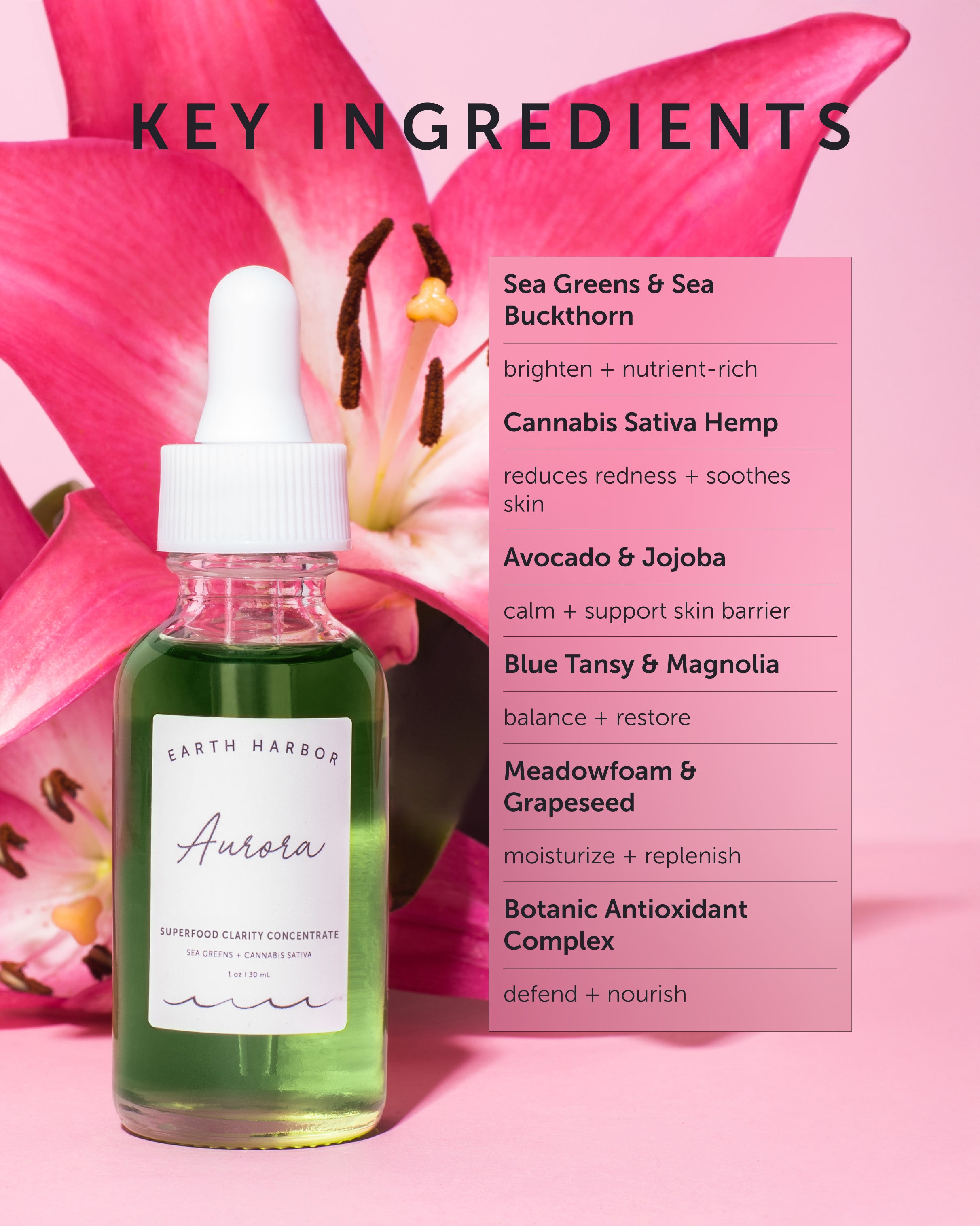 AURORA Superfood Clarity Concentrate - Earth Harbor Naturals