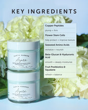 AZURE Peptide Smoothing Water Cream - Earth Harbor Naturals