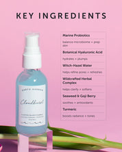 CLOUDBURST Plumping Balance Essence - Refill - Earth Harbor Naturals
