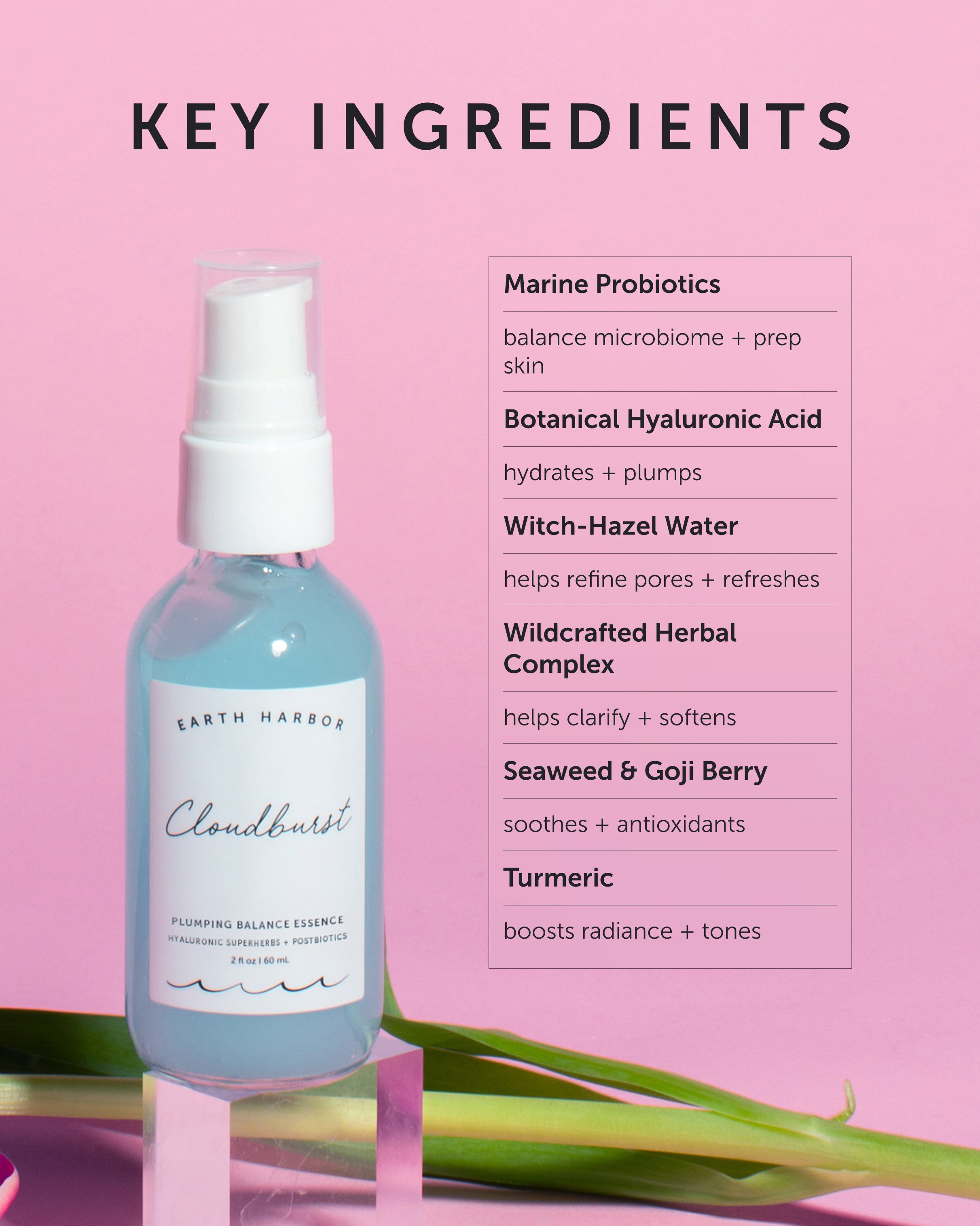 CLOUDBURST Plumping Balance Essence - Earth Harbor Naturals