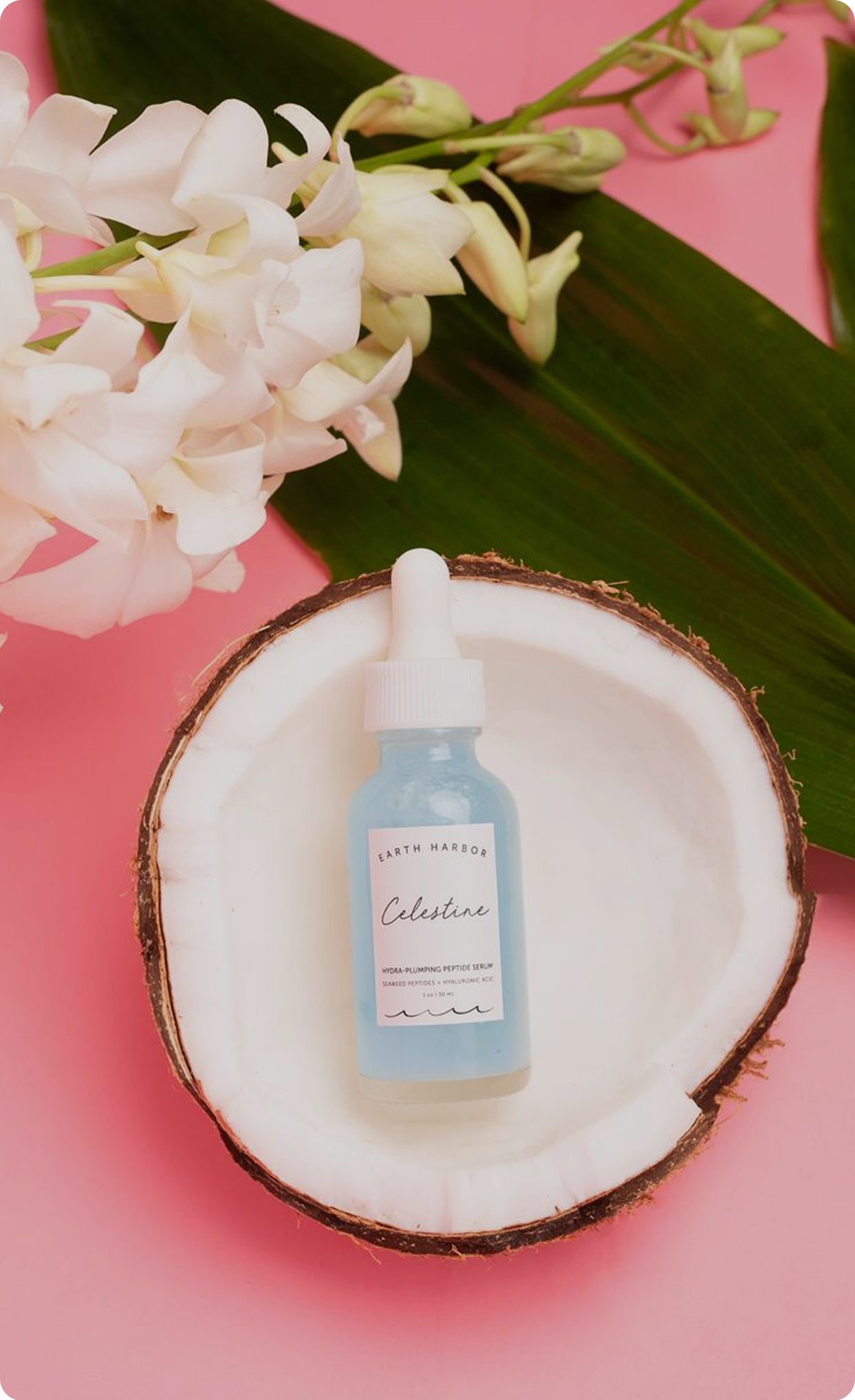 Blue celestine bottle placed inside a
coconut shell with flowers on a pink background.