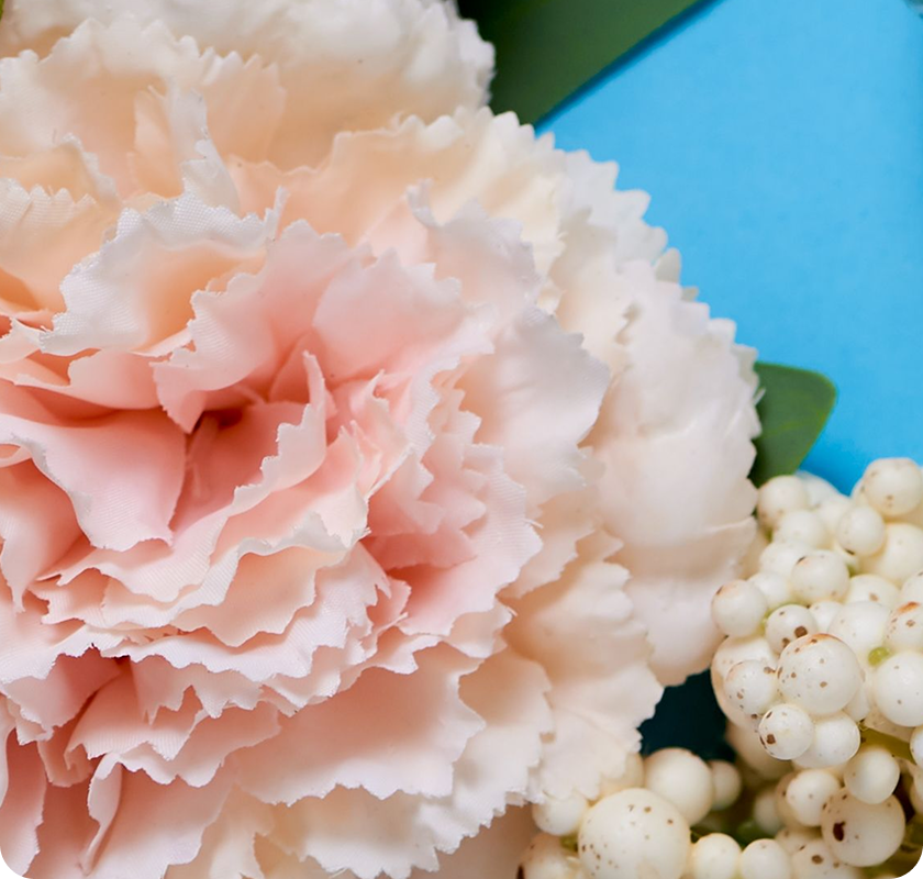 Close-up of soft pink and white flowers
with green leaves and berries.​
