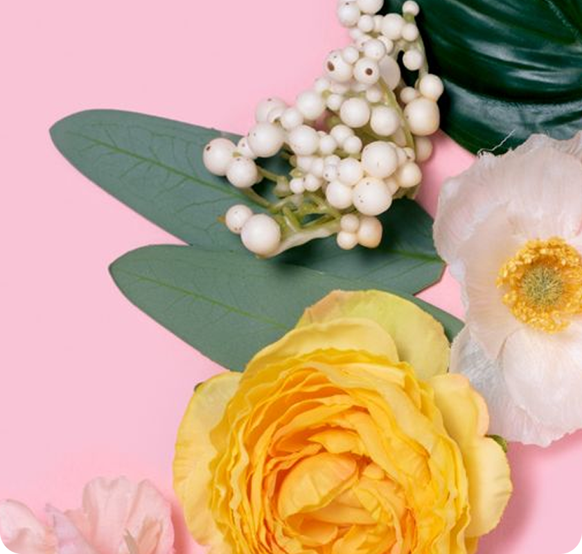 Arrangement of yellow and white flowers
with green leaves on a pink background.​