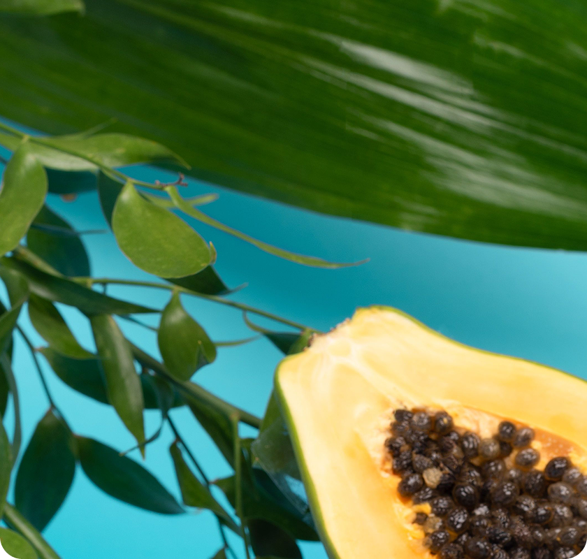 Papaya half with seeds surrounded by
green leaves on a blue background.​