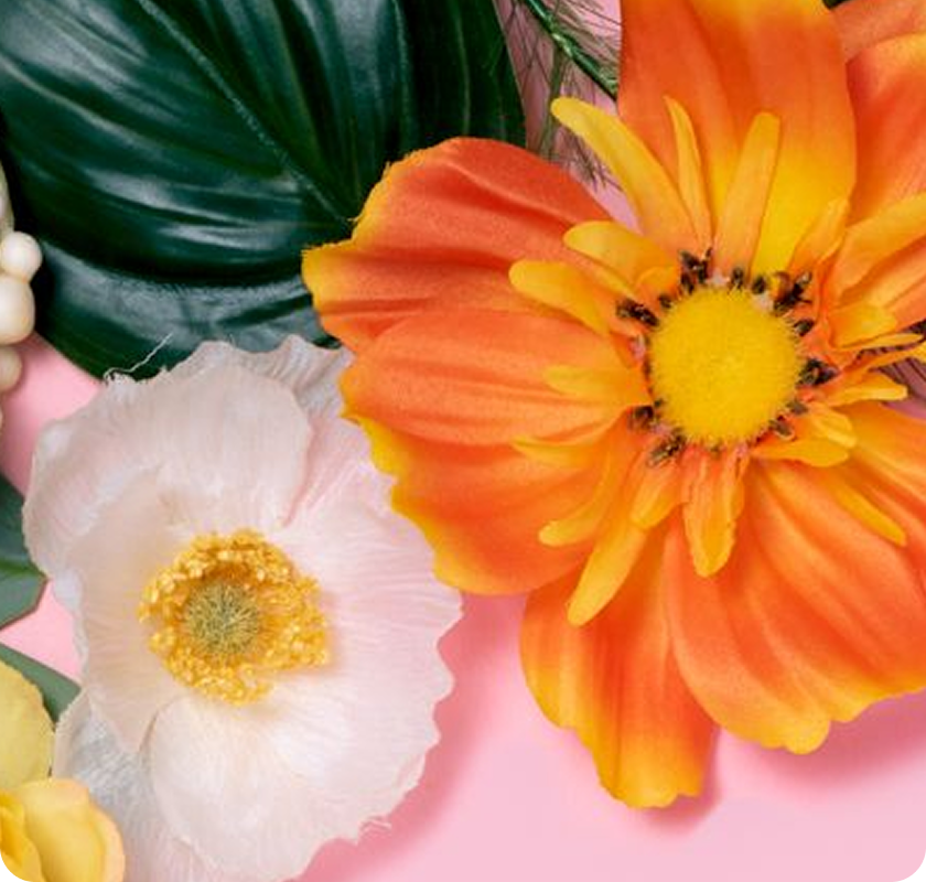 Bright orange and white flowers with
green leaves on a pink background.