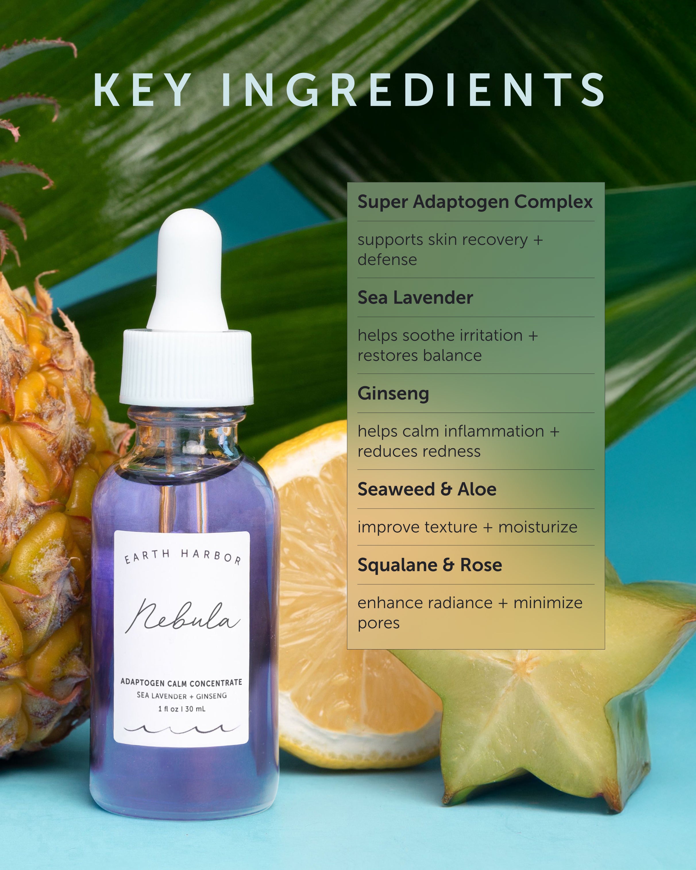 NEBULA Adaptogen Calm Concentrate - Earth Harbor Naturals