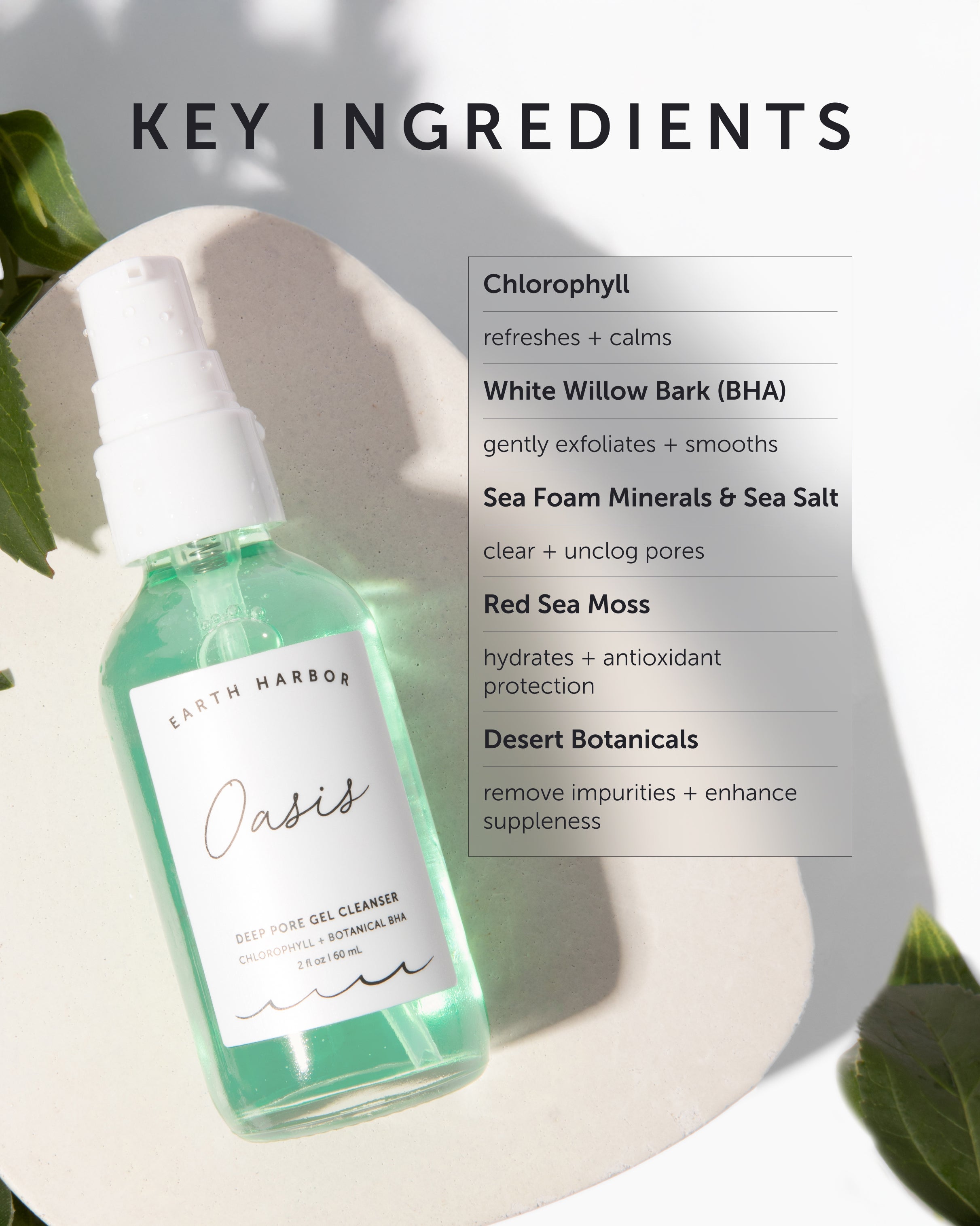 OASIS Deep Pore Gel Cleanser - Earth Harbor Naturals