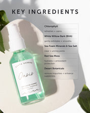 OASIS Deep Pore Gel Cleanser - Refill - Earth Harbor Naturals