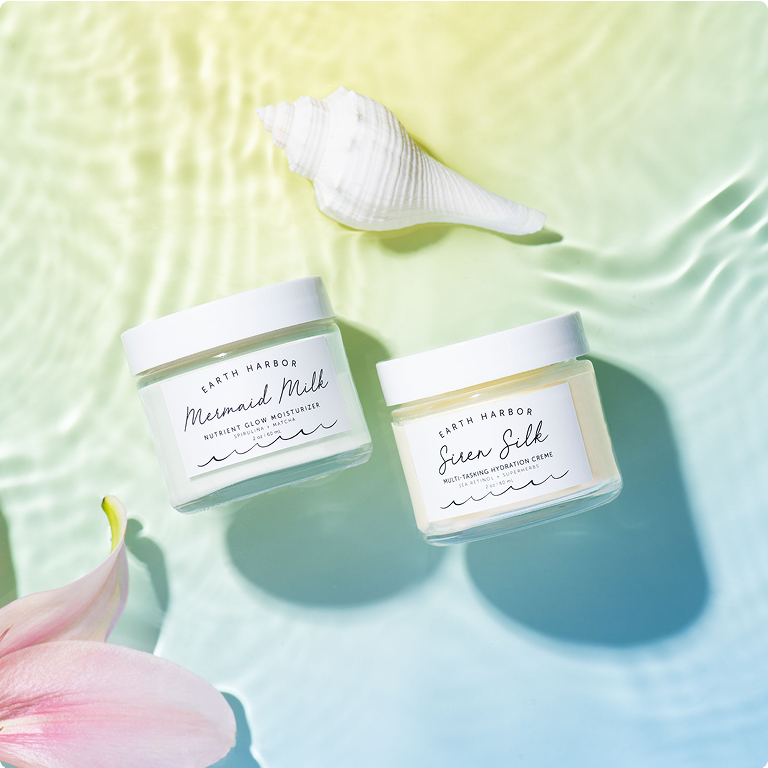 Two skincare jars displayed in water with a
seashell and flower nearby.​