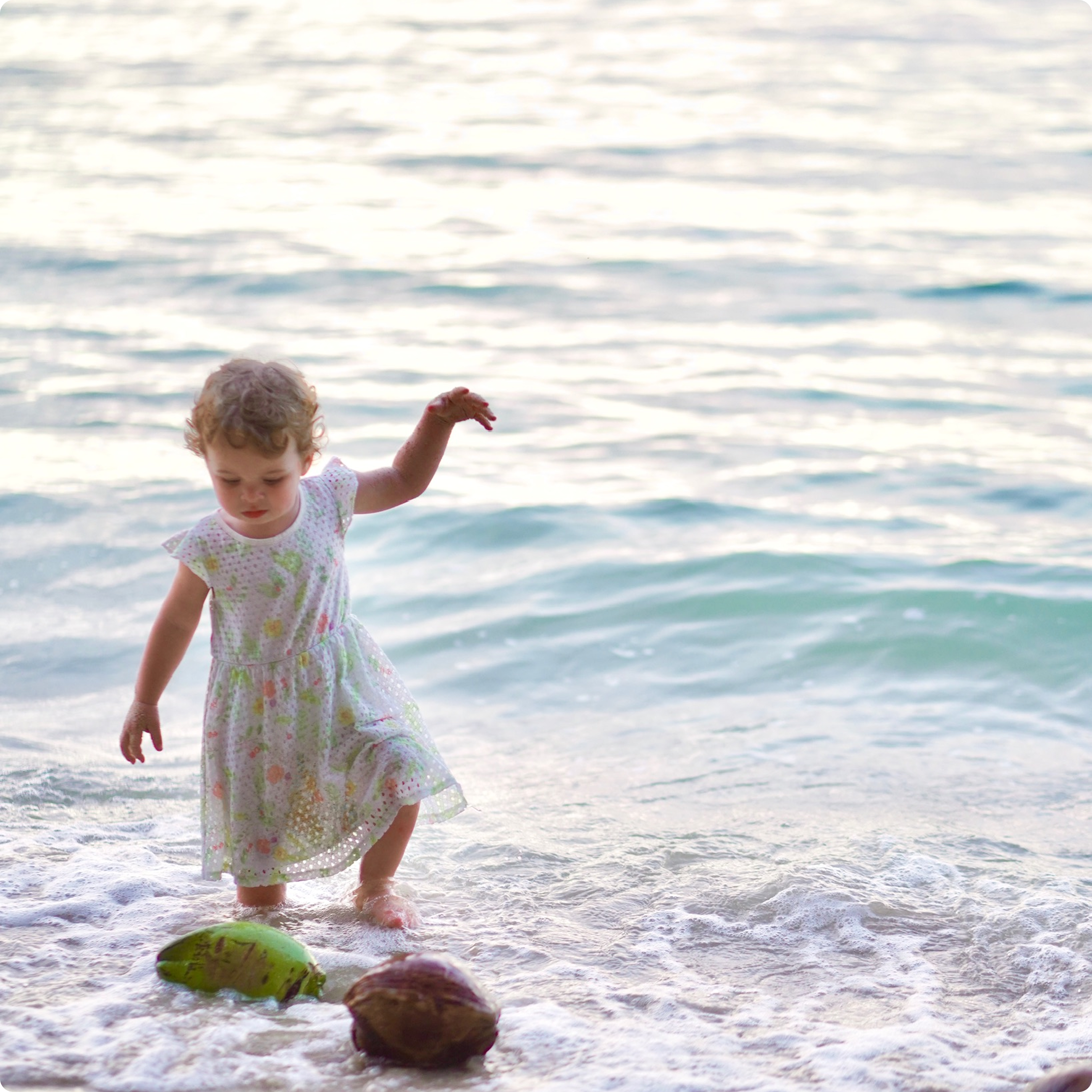 Young child playing in shallow ocean
water near the shore