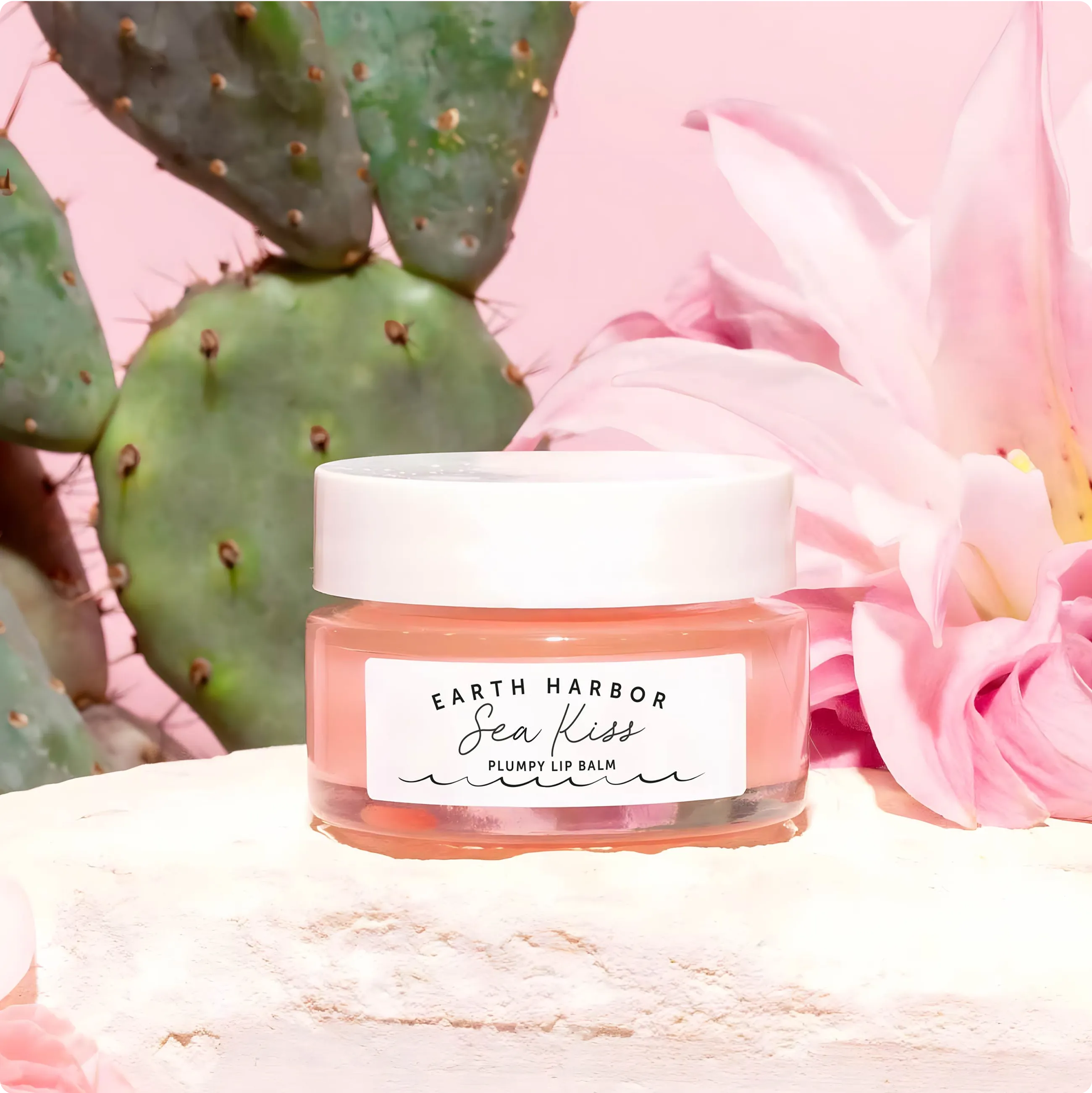 Jar of Earth Harbor Sea Kiss lip balm on a
stone ledge in front of a prickly pear cactus
and a large pink flower.​